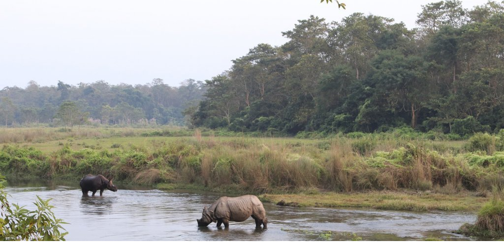 Option 4 - Nepal: Chitwan 3 Days Jagatpur Lodge Chitwan